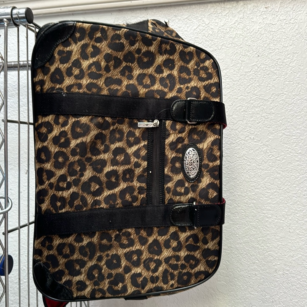 Brighton Roller carry on